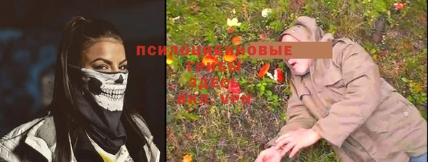 марки nbome Горнозаводск